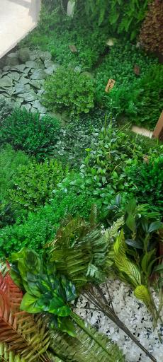 عکس دکوراسیون رامین