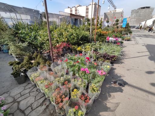 عکس بازار گل شادمان