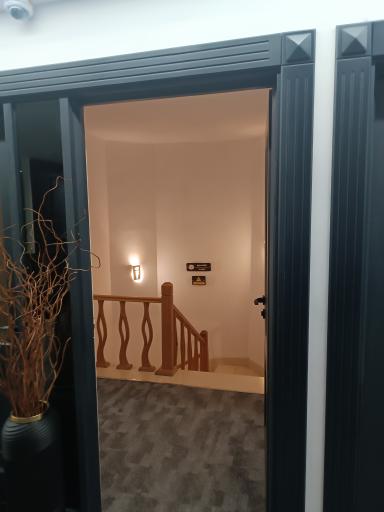 عکس هتل شایگان کیش