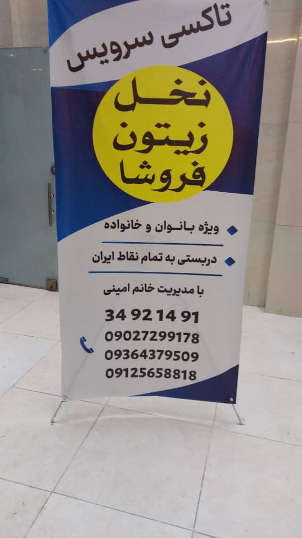 عکس آژانس بانوان نخل زیتون