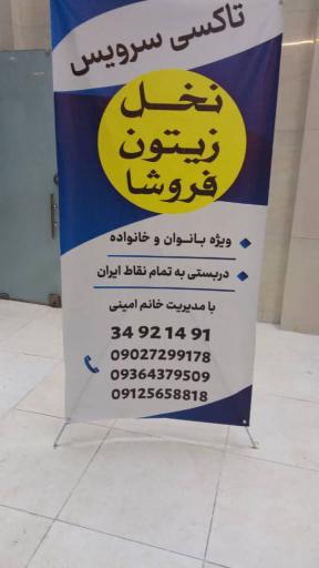 عکس آژانس بانوان نخل زیتون