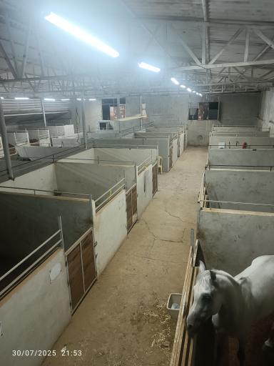 عکس باشگاه سوارکاری راگا