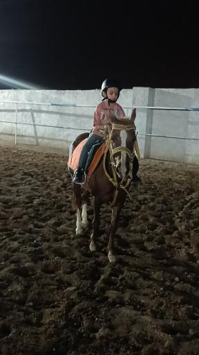 عکس باشگاه سوارکاری راگا