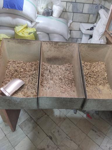 عکس تخمه گلپر شریفیان