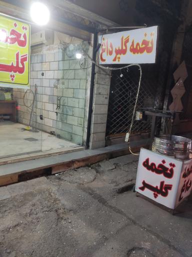 عکس تخمه گلپر شریفیان