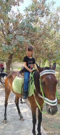 عکس باشگاه سوارکاری راگا