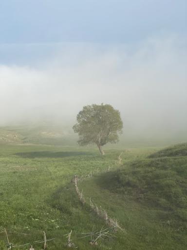 عکس دریاچه نئور