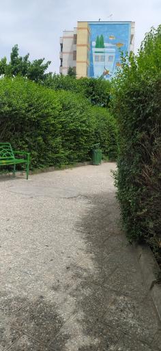 عکس بوستان آلاله