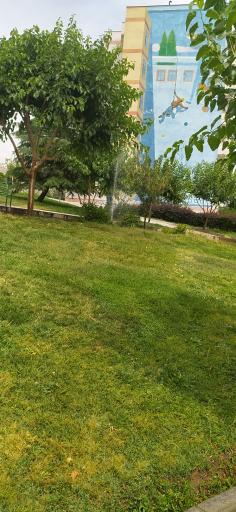 عکس بوستان آلاله