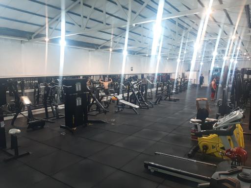 باشگاه بدنسازی شاهان