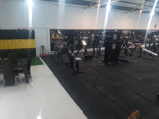 عکس باشگاه بدنسازی شاهان