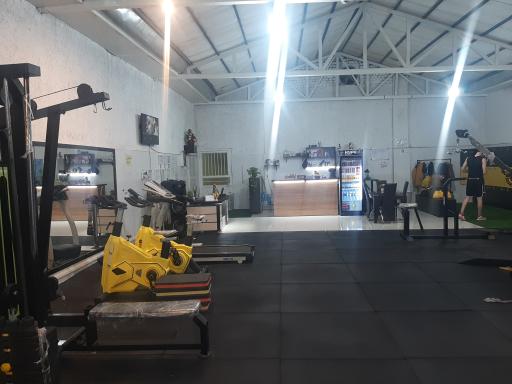 عکس باشگاه بدنسازی شاهان