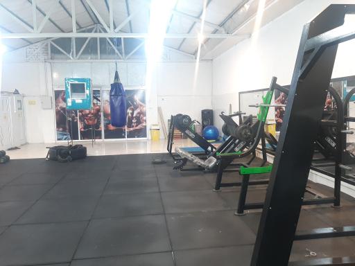 عکس باشگاه بدنسازی شاهان