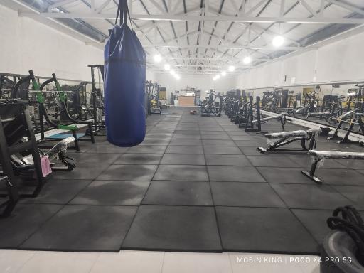 عکس باشگاه بدنسازی شاهان