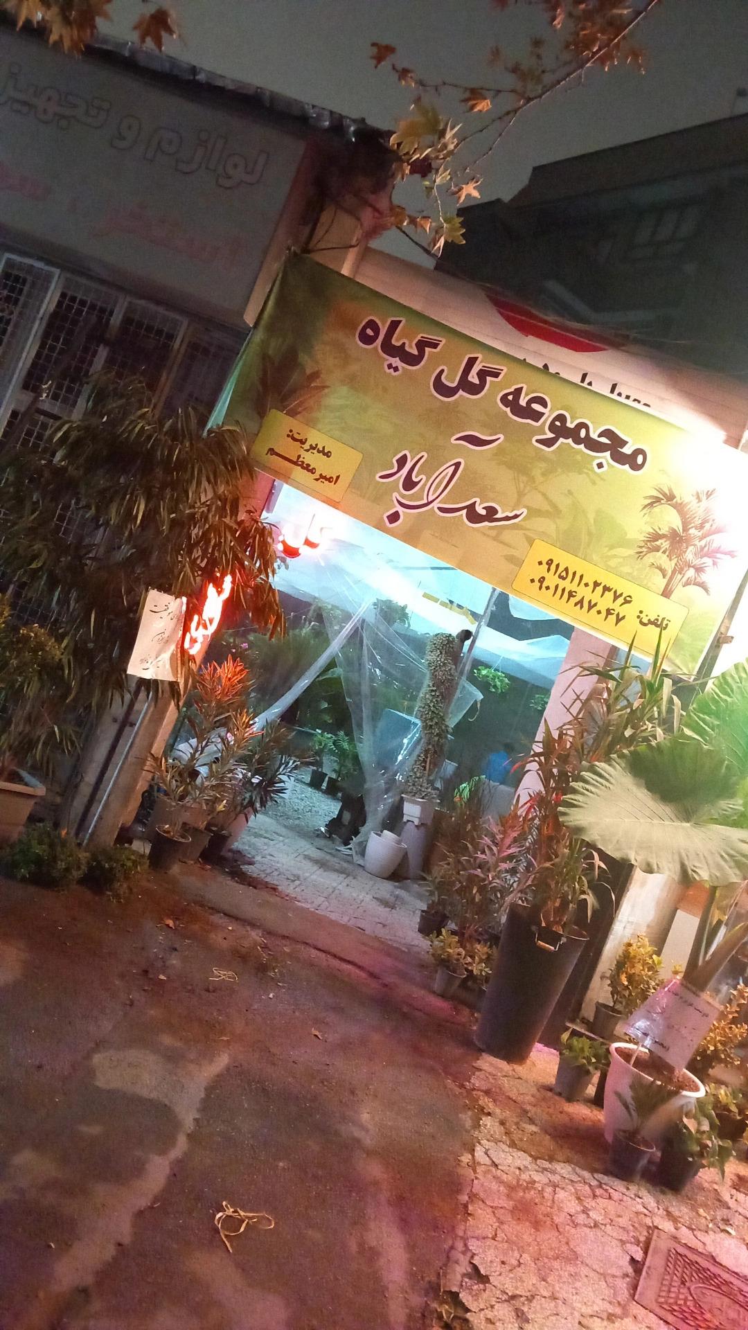 عکس گل و گیاه سعد آباد