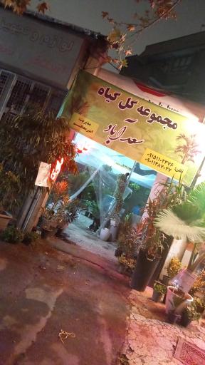 عکس گل و گیاه سعد آباد