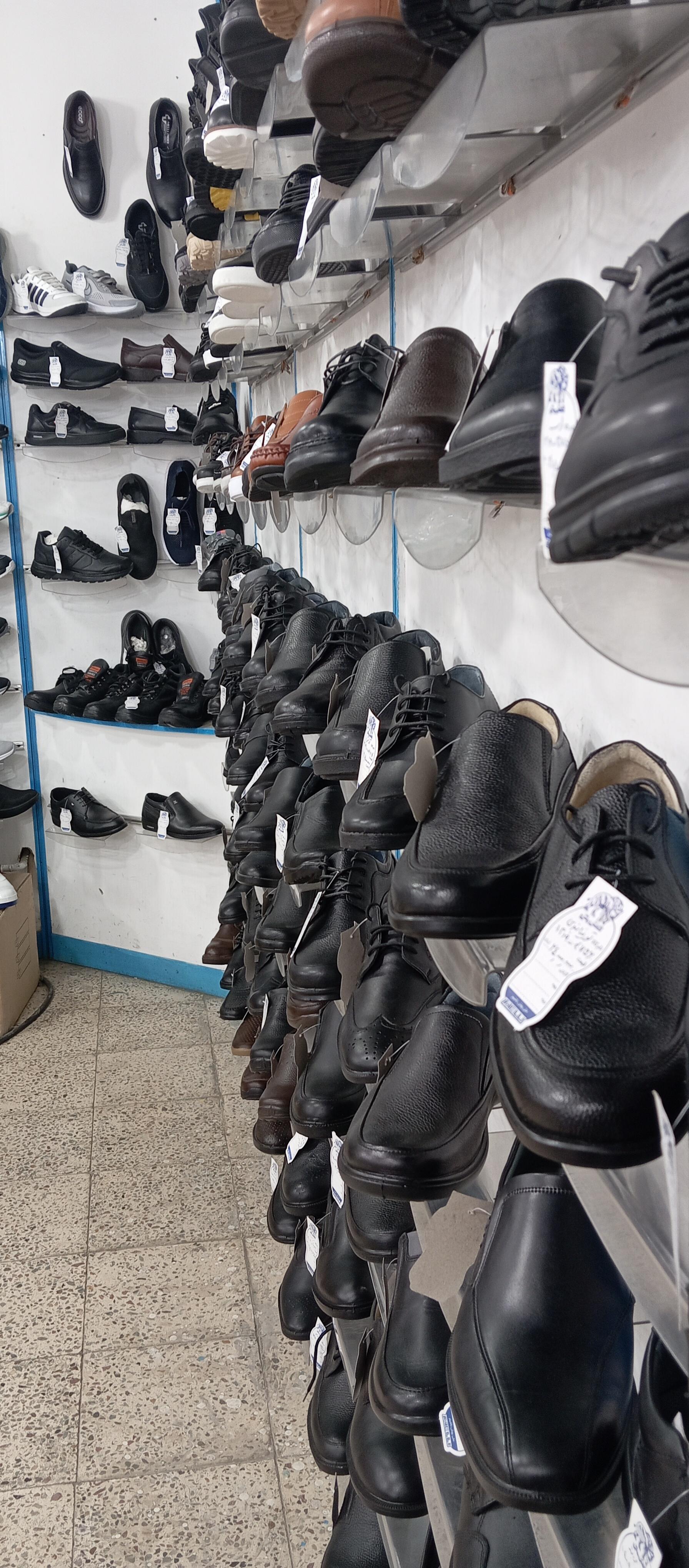 عکس کفش ملی 1520 سنندج شعبه ادب