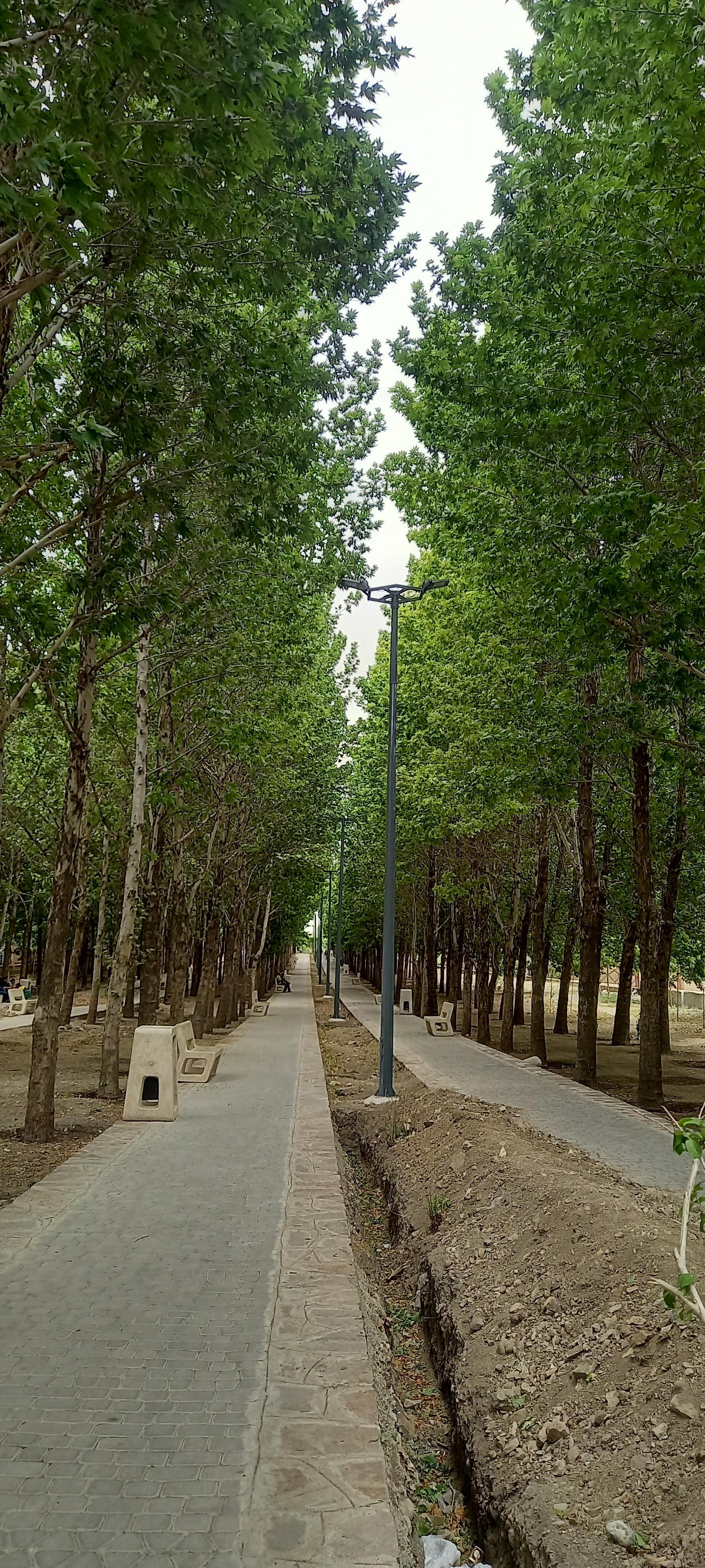 عکس بوستان گلستان