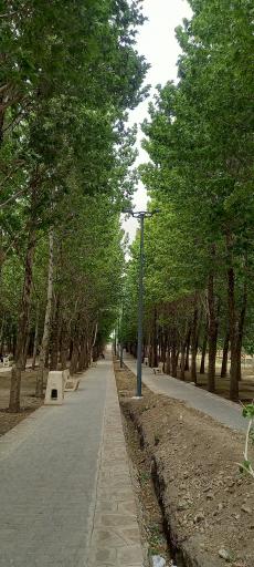 عکس بوستان گلستان