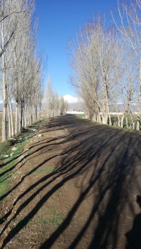 عکس روستای اردی