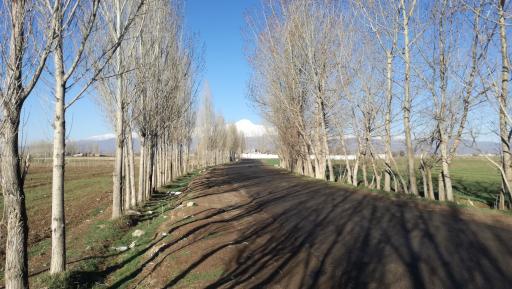 روستای اردی