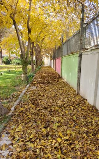 عکس دانشگاه فرهنگیان اصفهان