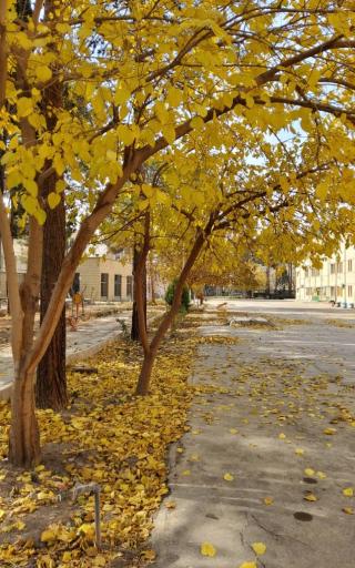 عکس دانشگاه فرهنگیان اصفهان