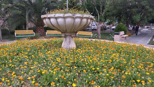 عکس بوستان تلاش