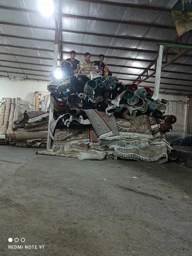 عکس قالیشویی شاطری 