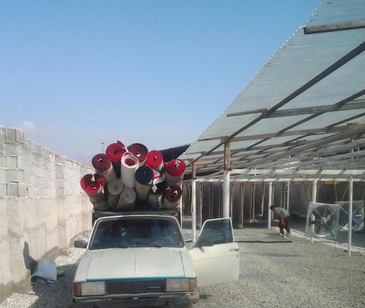 عکس قالیشویی شاطری 