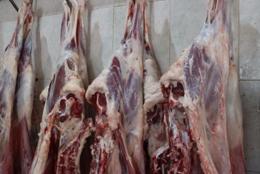 عکس فروشگاه مزرعه مردمی برکت