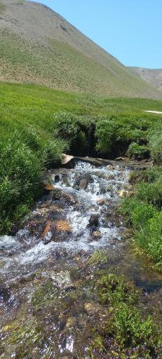 عکس دره نِهل زشک