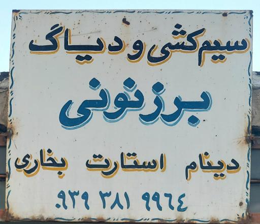 سیم کشی و دیاگ برزنونی