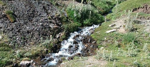 عکس دره نِهل زشک