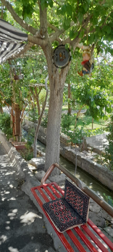 عکس استخر باغ فیض 