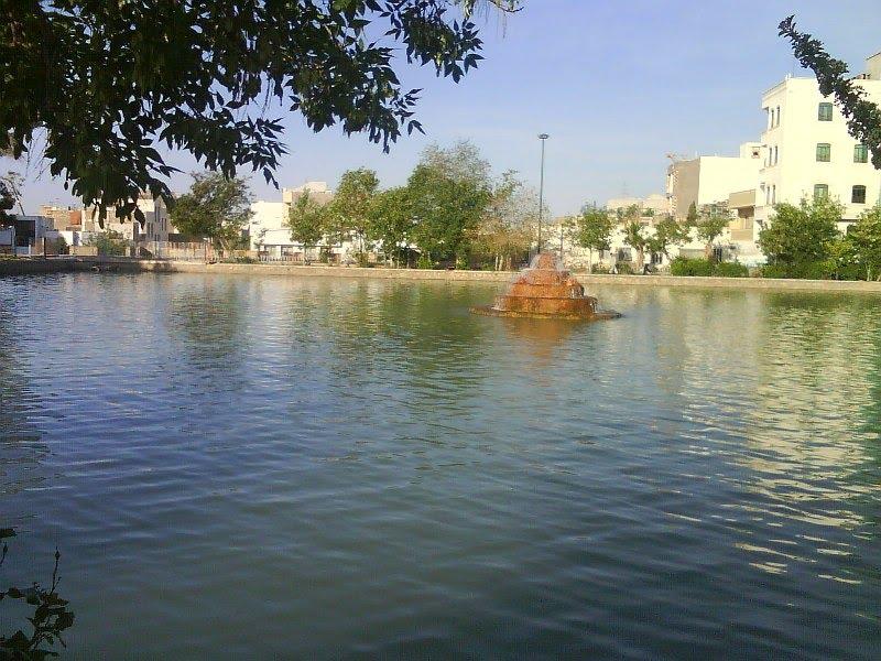 عکس استخر باغ فیض 