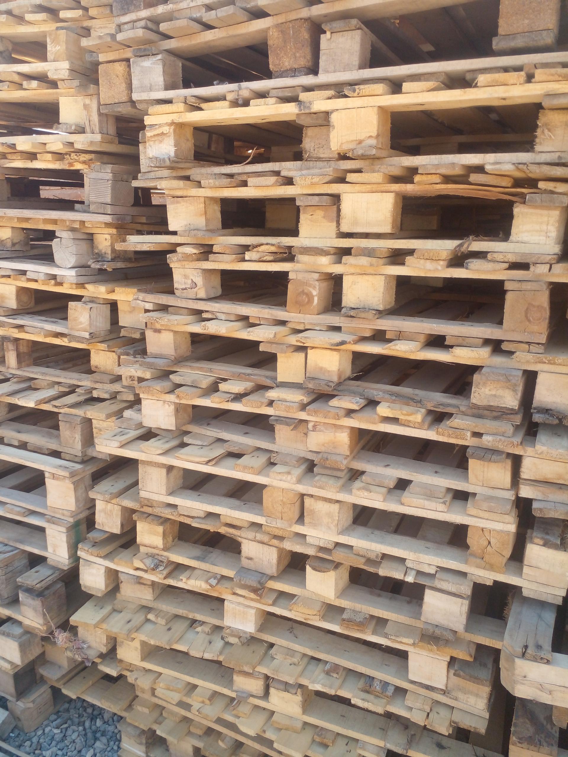 عکس پالت فروشی بلوط