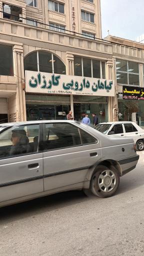 عکس گیاهان دارویی کارزان