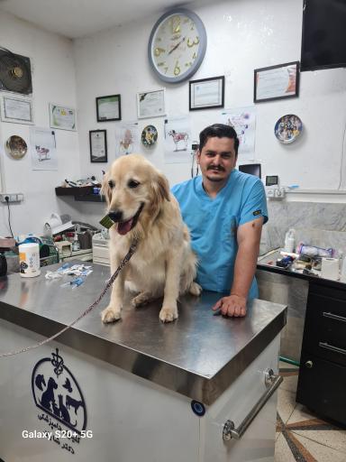 عکس دامپزشکی و پت شاپ ژیوانا