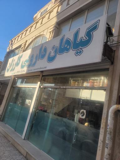 عکس گیاهان دارویی کارزان