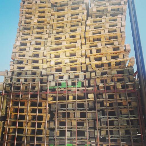 عکس پالت فروشی بلوط