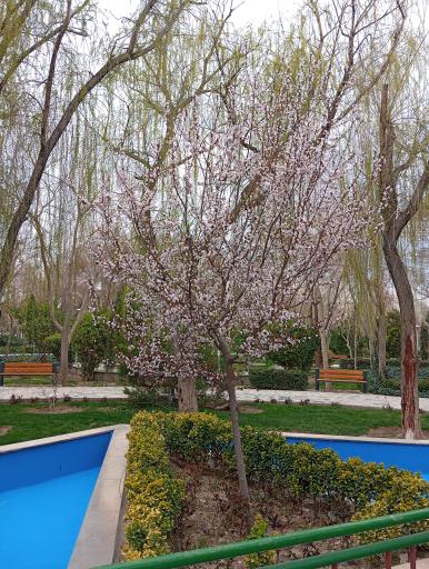 عکس پارک خوراسگان