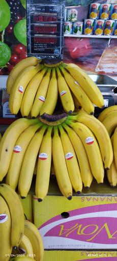 عکس نمایندگی موز 