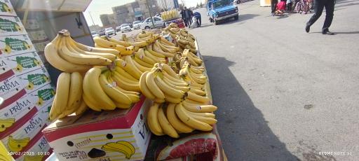 عکس نمایندگی موز 