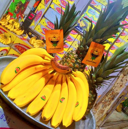 عکس نمایندگی موز 