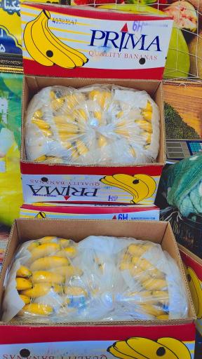 عکس نمایندگی موز 