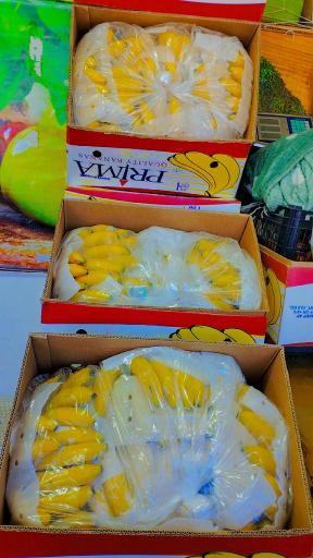 عکس نمایندگی موز 