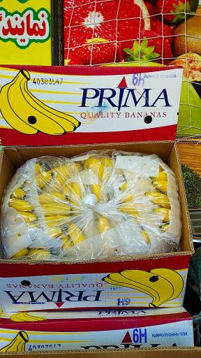 عکس نمایندگی موز 