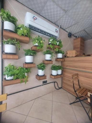 صبحانه و عصرانه امیر