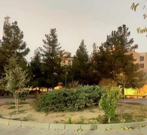 عکس بوستان نیکو